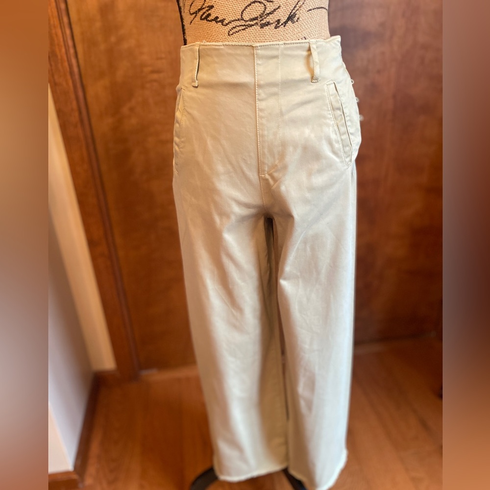 Zara pants
